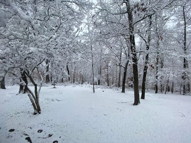 2352 S Valley View Lane, Springfield, MO 65809