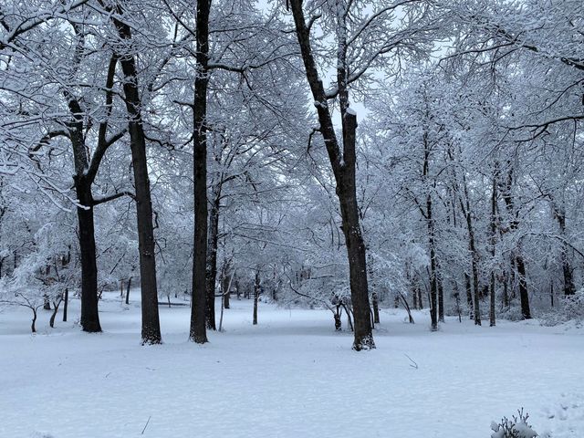 2352 S Valley View Lane, Springfield, MO 65809