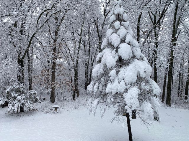 2352 S Valley View Lane, Springfield, MO 65809