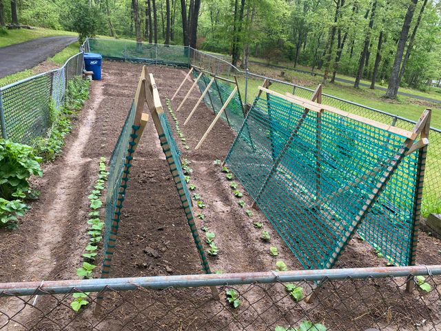 2352 S Valley View Lane, Springfield, MO 65809