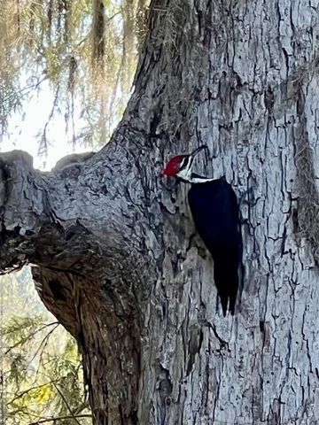 201 Davis Hill, Cleveland, TX 77327