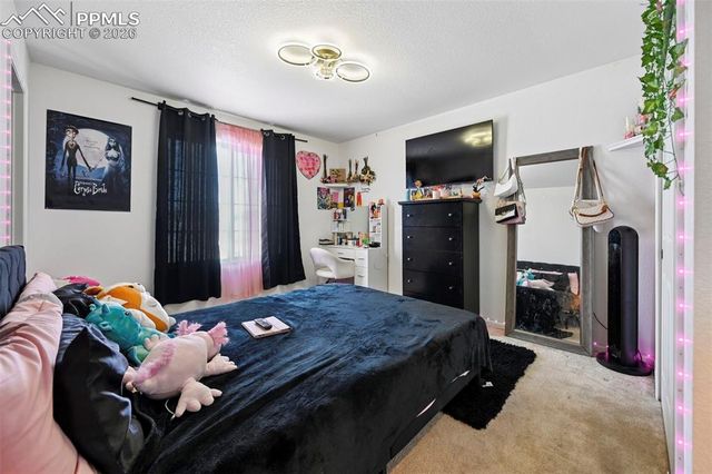 8177 Buffalo Horn Drive, Colorado Springs, CO 80925