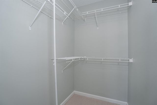 305 Montclaire Lane, West Columbia, SC 29170