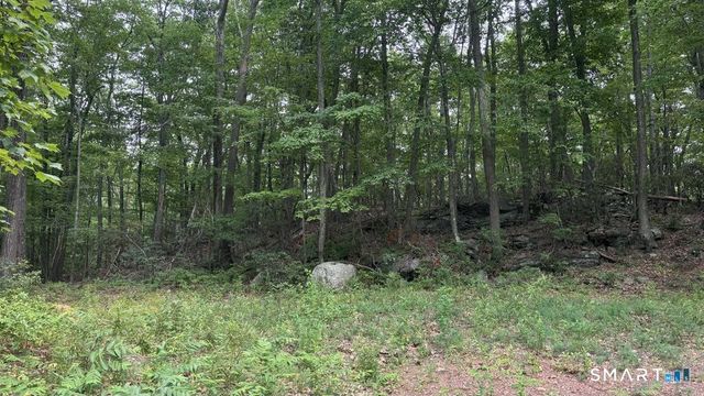 195 Silver Springs Drive, Haddam, CT 06441