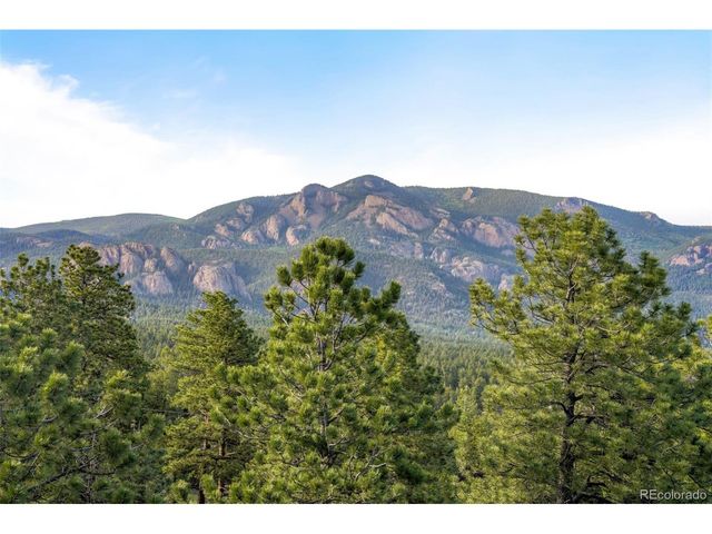 229 Mohawk Trl, Pine, CO 80470