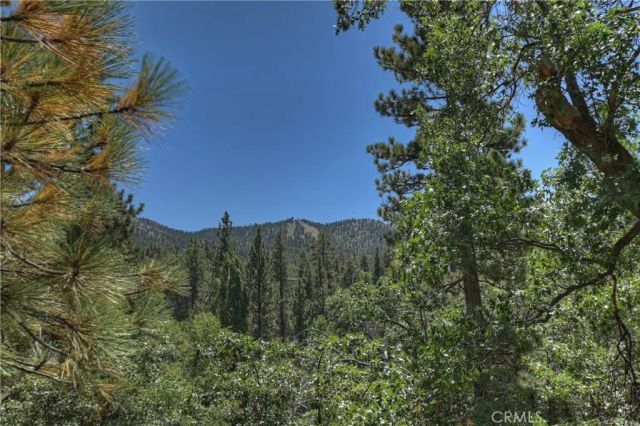 43305 Sand Canyon, Big Bear Lake, CA 92315