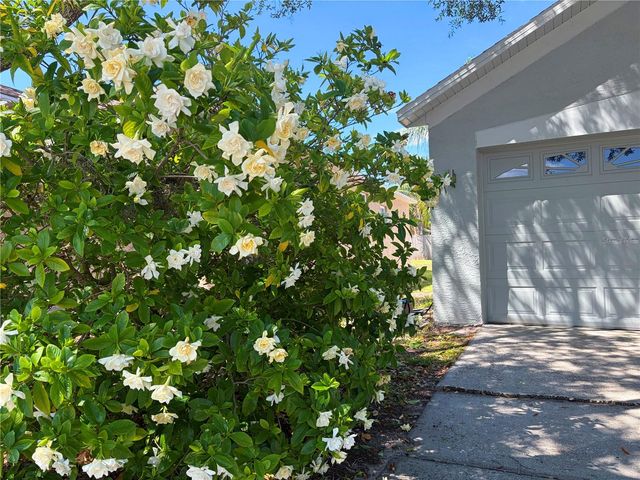 10327 GOLDENBROOK WAY, Tampa, FL 33647