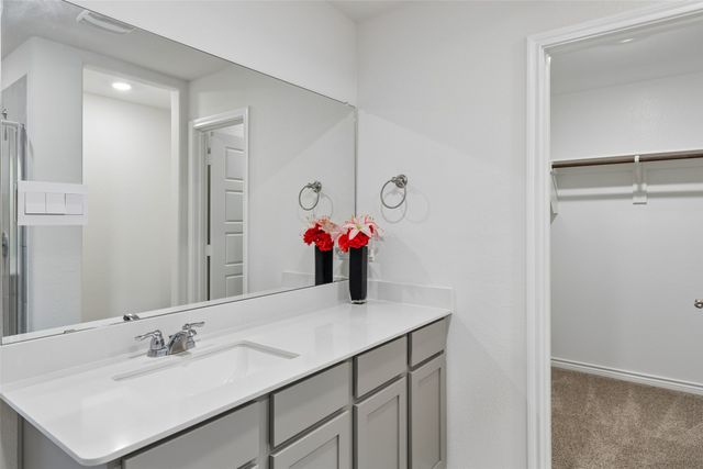 9721 Daisy Mae Lane, Aubrey, TX 76227