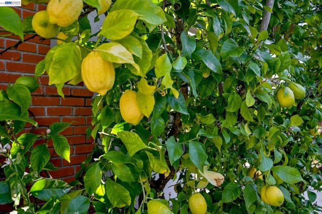 181 Paraiso Dr, Danville, CA 94526