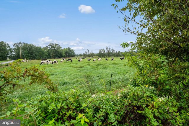 11810 FREEMANS RD, Remington, VA 22734