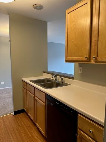 1931 PRAIRIE Square 226, Schaumburg, IL 60173