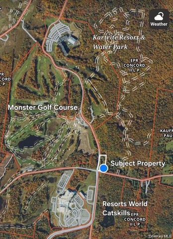 315 Thompson Road, Thompsonville, NY 12701