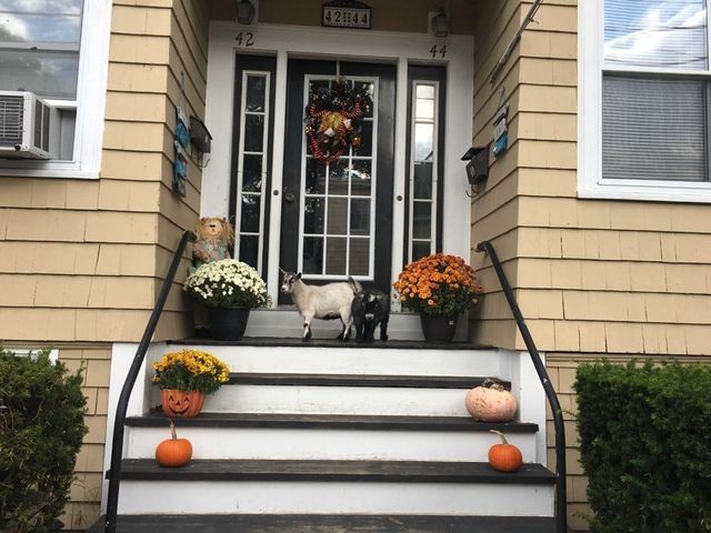 44 Sculpin Way 44, Swampscott, MA 01907