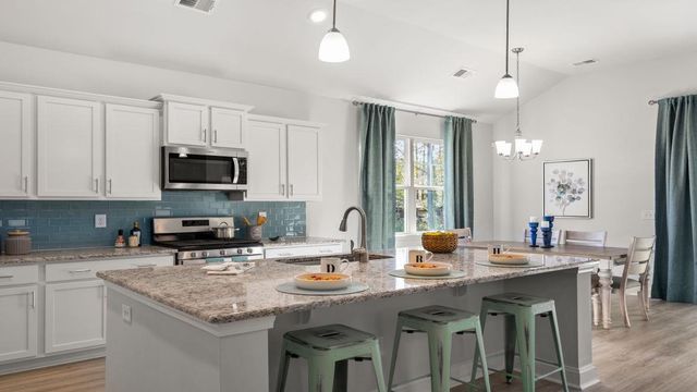 3045 Berry Bush Way, Conway, SC 29526