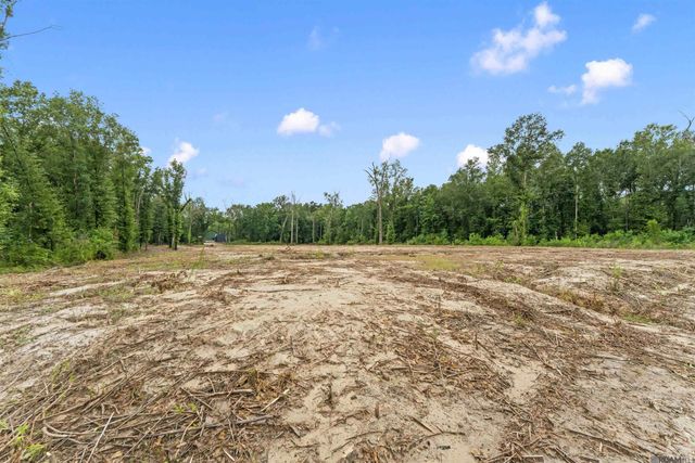 11973 Gurney Rd, Central, LA 70714