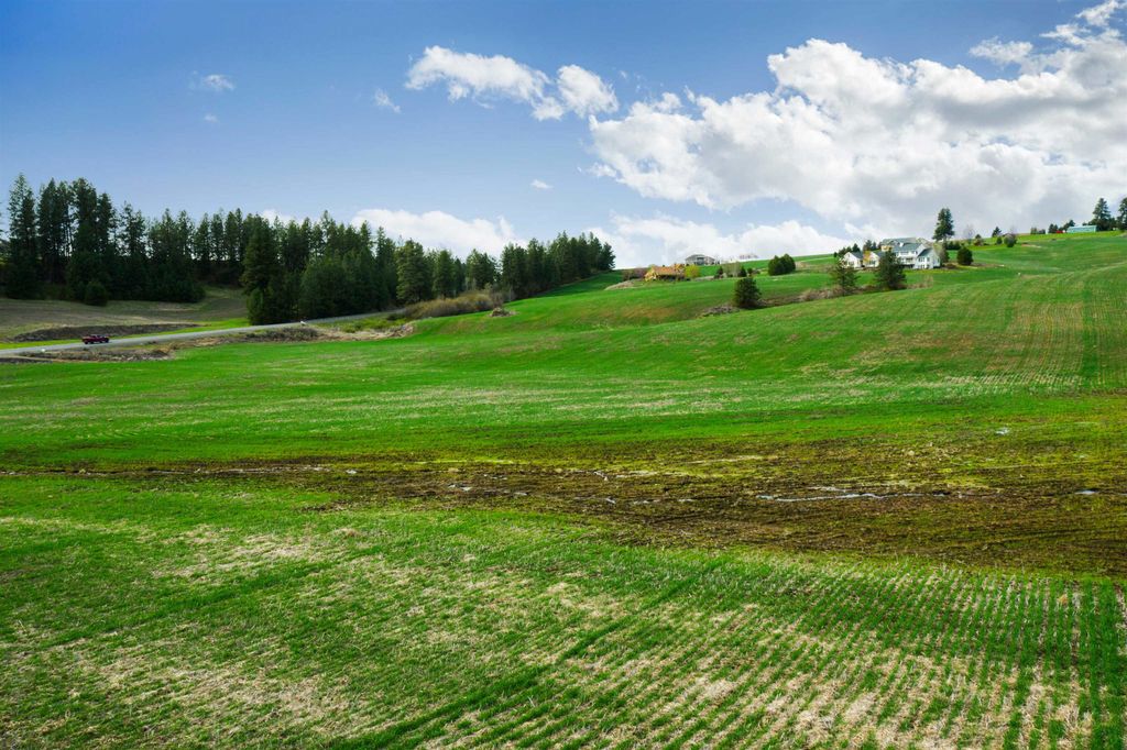 NKA E HOFFMAN Ln, Spokane, WA 99223 photo 17