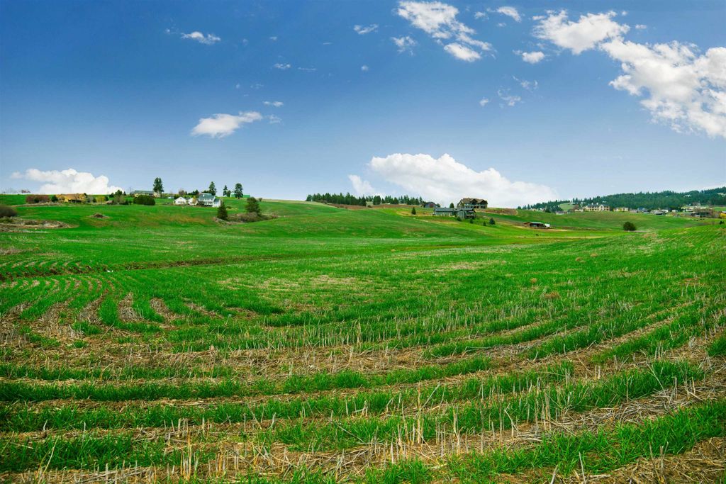 NKA E HOFFMAN Ln, Spokane, WA 99223 photo 4