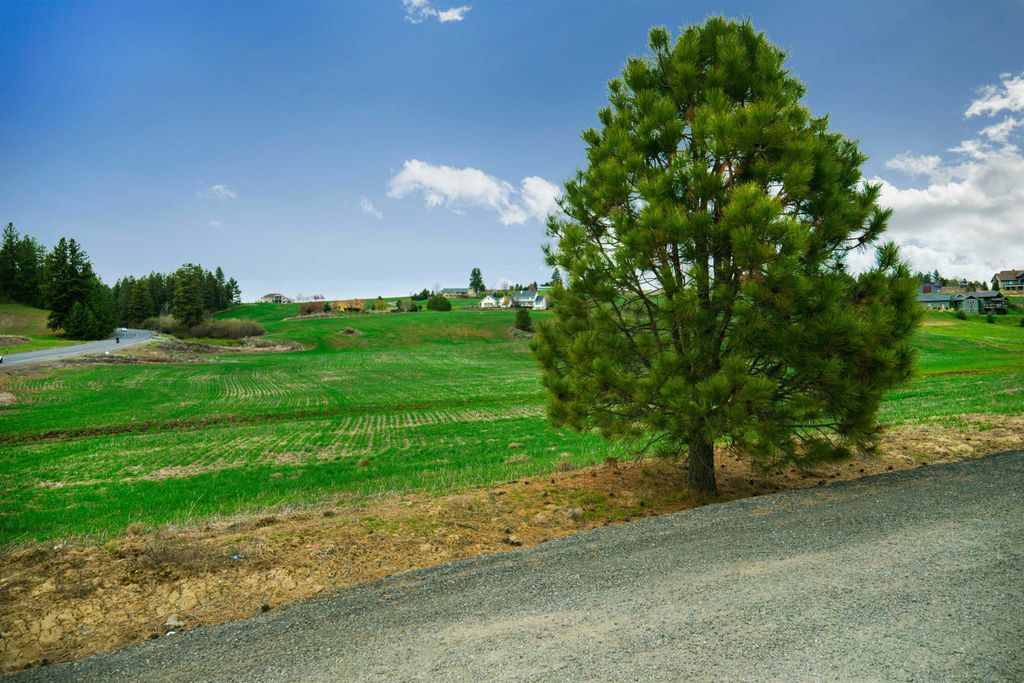 NKA E HOFFMAN Ln, Spokane, WA 99223 photo 5