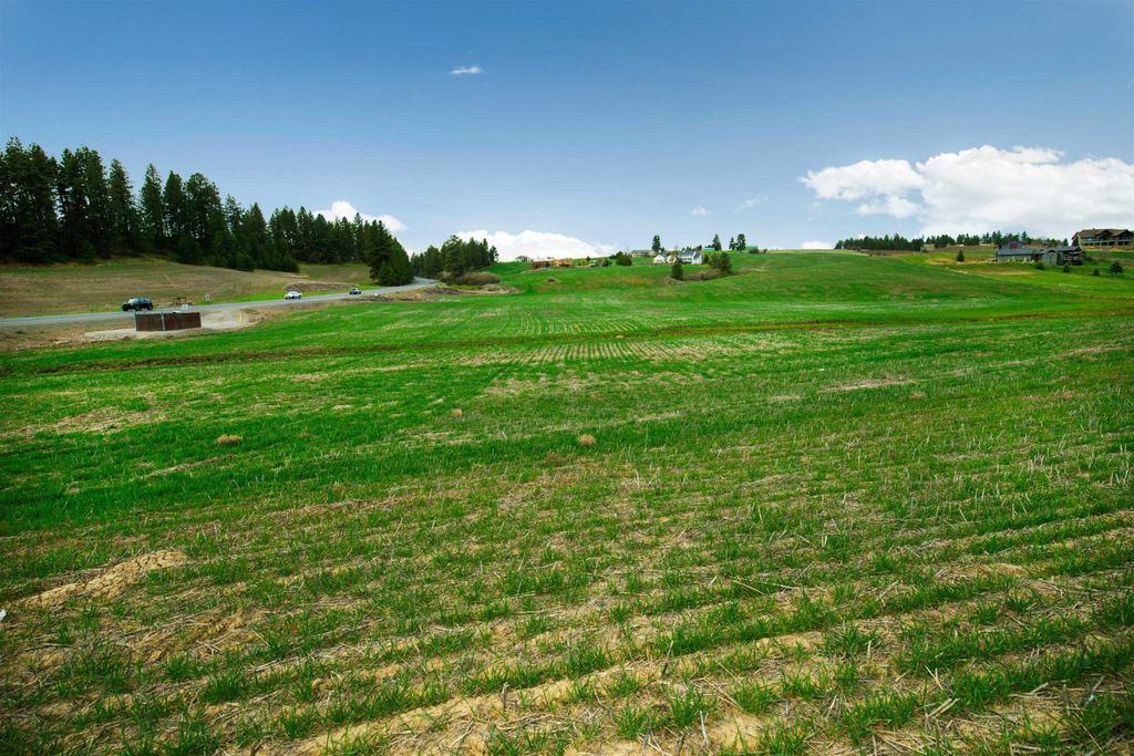 NKA E HOFFMAN Ln, Spokane, WA 99223 photo 6