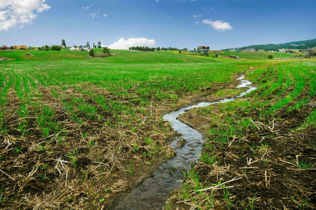 NKA E HOFFMAN Ln, Spokane, WA 99223 photo 7