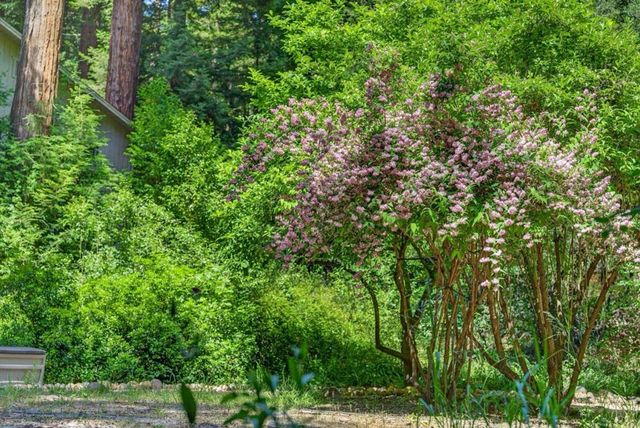 450 Vine Hill Road, Santa Cruz, CA 95065