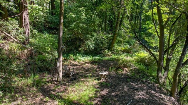 450 Vine Hill Road, Santa Cruz, CA 95065