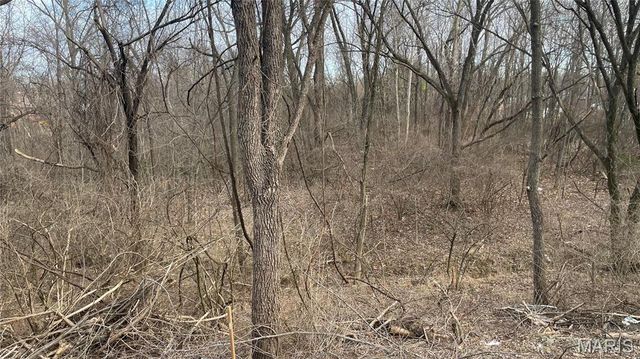 2555 Brush Court, St Louis, MO 63125