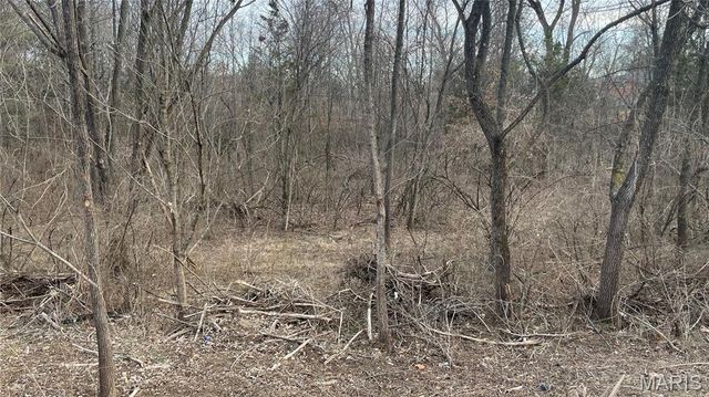 2555 Brush Court, St Louis, MO 63125