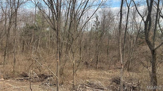 2555 Brush Court, St Louis, MO 63125