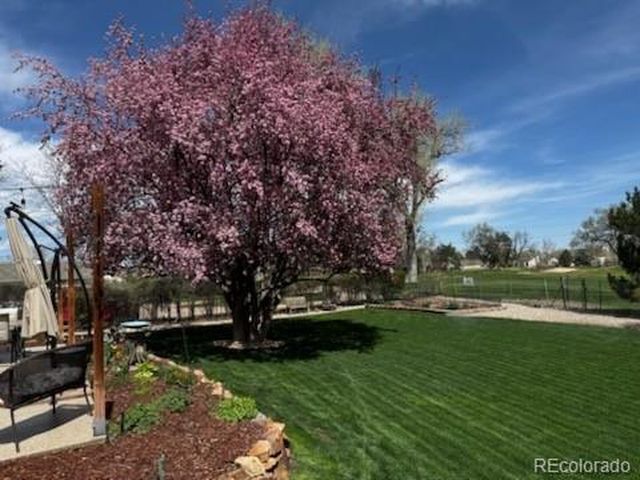 930 Reed Ct, Lakewood, CO 80214