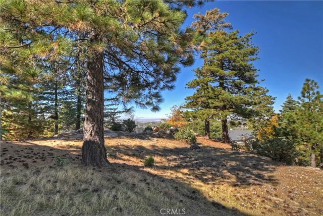 26077 Walnut Hills, Lake Arrowhead, CA 92352