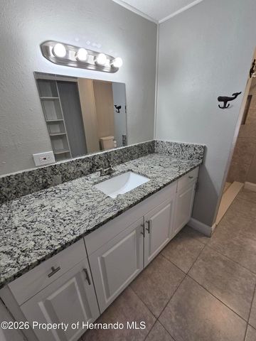 16229 Brookridge Boulevard, Brooksville, FL 34613