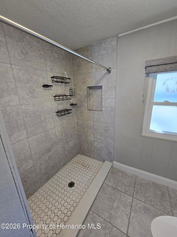 16229 Brookridge Boulevard, Brooksville, FL 34613