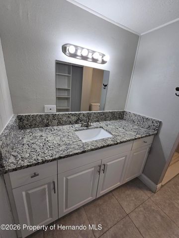 16229 Brookridge Boulevard, Brooksville, FL 34613