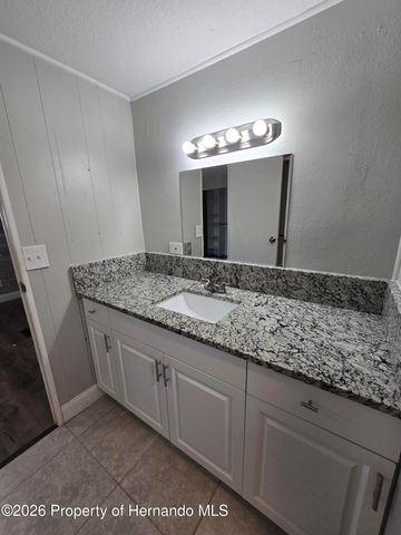 16229 Brookridge Boulevard, Brooksville, FL 34613