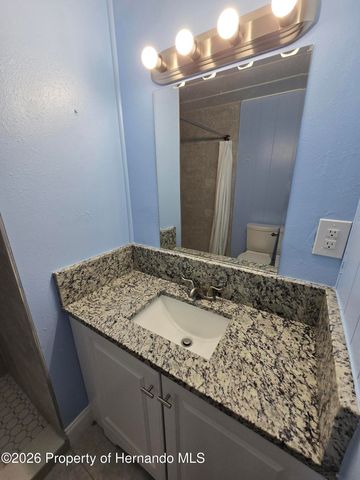 16229 Brookridge Boulevard, Brooksville, FL 34613