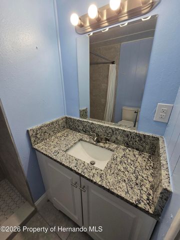 16229 Brookridge Boulevard, Brooksville, FL 34613