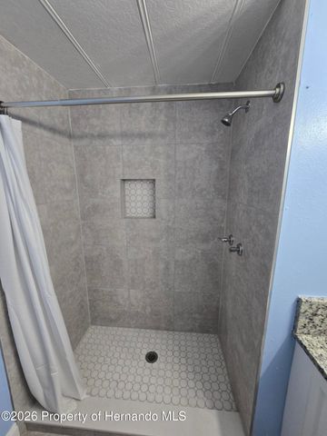 16229 Brookridge Boulevard, Brooksville, FL 34613