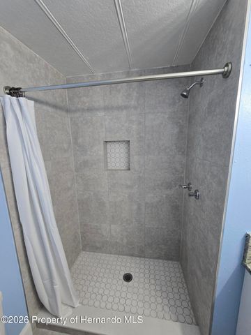 16229 Brookridge Boulevard, Brooksville, FL 34613