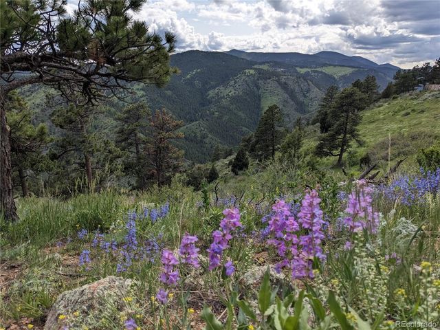 25421 Westridge Road, Golden, CO 80403