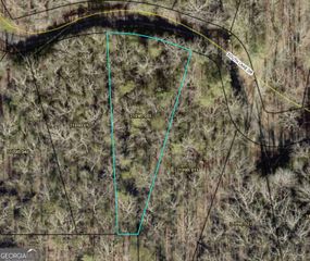 0 South Lake Drive B65, Ellijay, GA 30536
