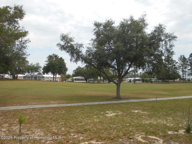 14529 Rialto Avenue, Brooksville, FL 34613