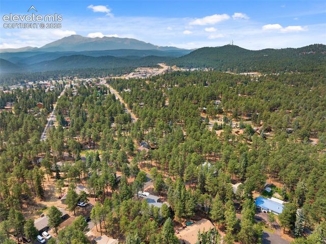 723 Pine Street, Woodland Park, CO 80863