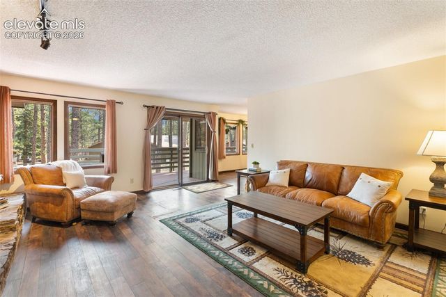 723 Pine Street, Woodland Park, CO 80863