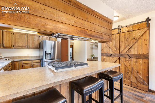 723 Pine Street, Woodland Park, CO 80863