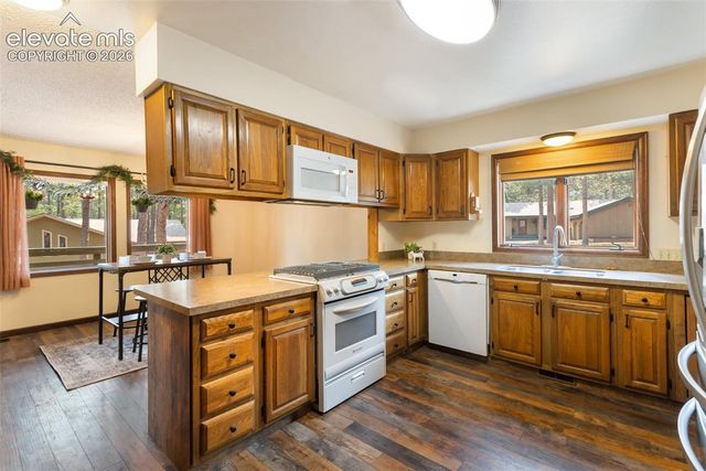 723 Pine Street, Woodland Park, CO 80863