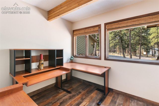 723 Pine Street, Woodland Park, CO 80863