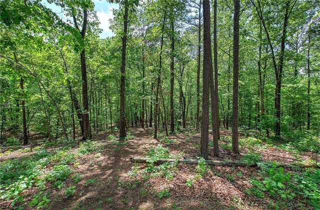 5541 Mulberry Preserve Drive, Flowery Branch, GA 30542