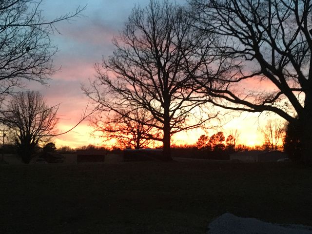 9372 Elk Ridge Rd, Mount Pleasant, TN 38474