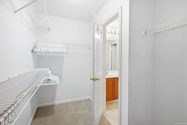 8631 Branch Hollow, Universal City, TX 78148